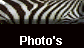  Photo's 